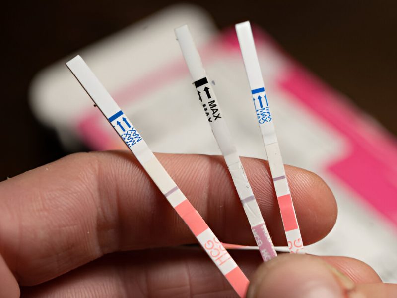 steptodown.com186649